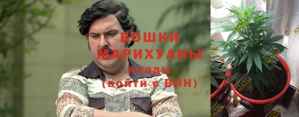 ПСИЛОЦИБИНОВЫЕ ГРИБЫ Арсеньев