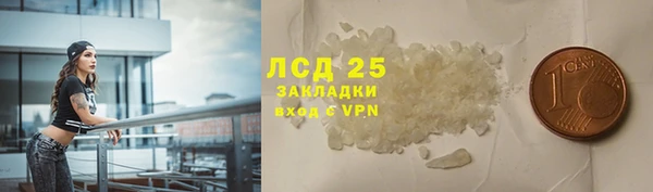 ПСИЛОЦИБИНОВЫЕ ГРИБЫ Арсеньев
