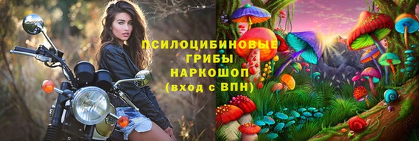 ПСИЛОЦИБИНОВЫЕ ГРИБЫ Арсеньев