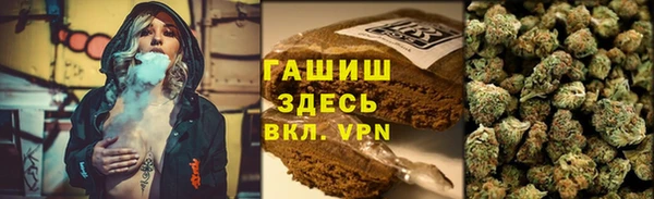 ПСИЛОЦИБИНОВЫЕ ГРИБЫ Арсеньев