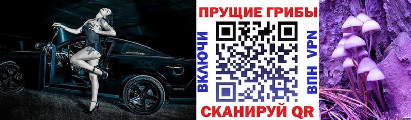 Галлюциногенные грибы ЛСД Баксан